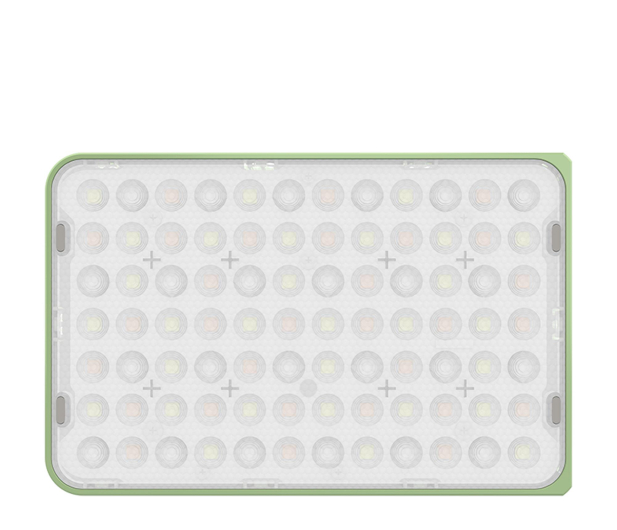 Amaran Bi-Color Ace 25x (Zielona) - 1514639 - zdjęcie 4